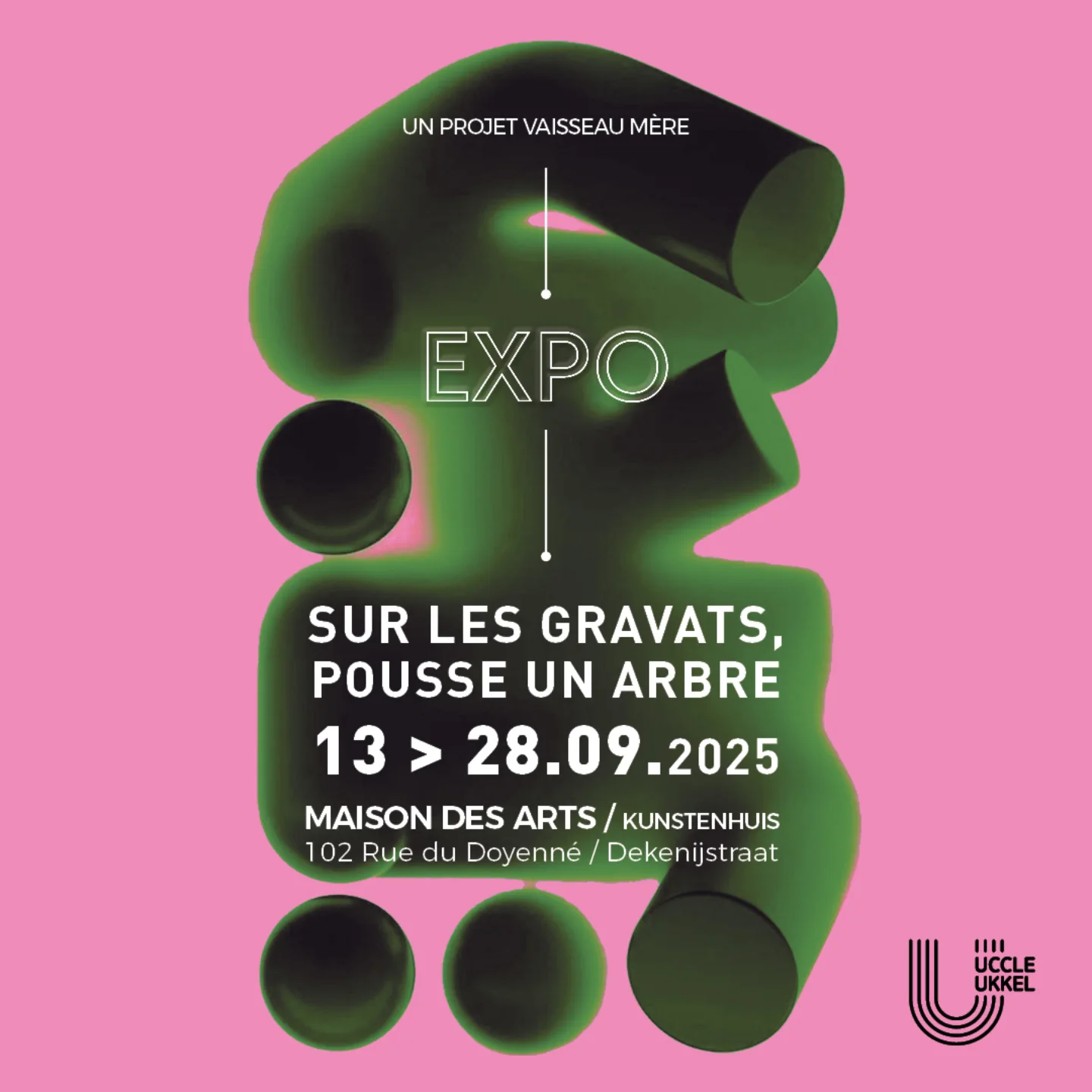 Sur les gravats, pousse un arbre !